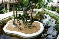 Hotel Palapa Beach Garden Hotel Palapa Beach Garden